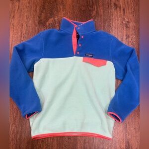 Patagonia Two-Tone Blue and Mint Hoodie